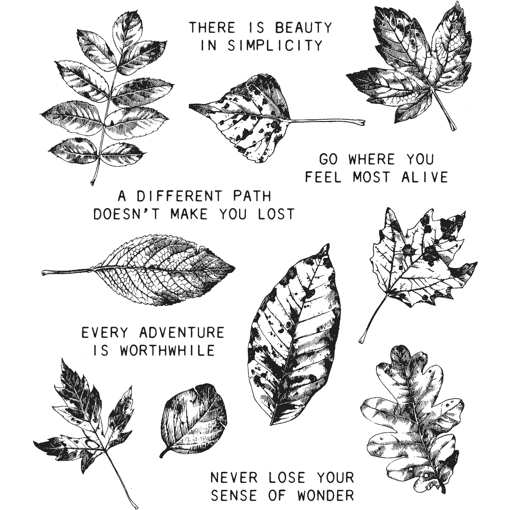 Stampers Anonymous Tim Holtz® Nature's Wonder Cling Stamps